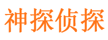 武陵市侦探公司